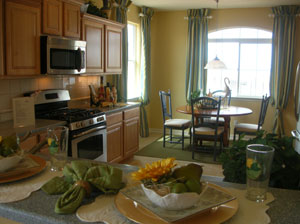 Albuquerque Home Kitchen