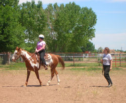 Horseback Riding Albuquerque