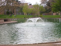 UNM Pond